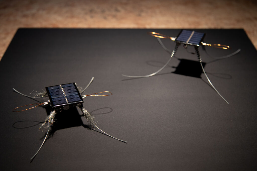 electronic creature freeform